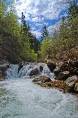 Potok Bistra-Tomo Jeseničnik